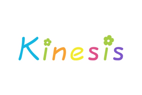 Kinesis Kinesis