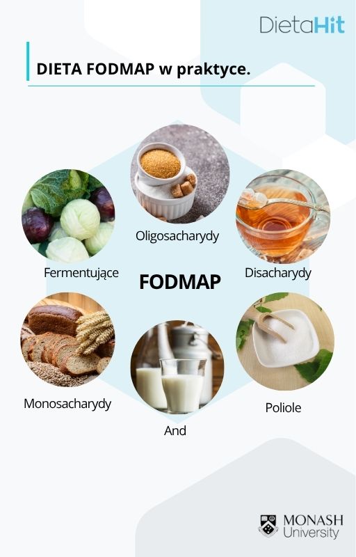 100 - FoodMed Centrum
